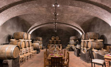 Wine Enthusiasts' Dinner at a Boutique Tuscan Winery in Chianti